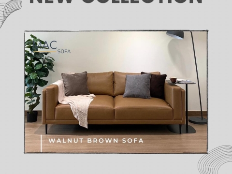 NEW COLLECTION